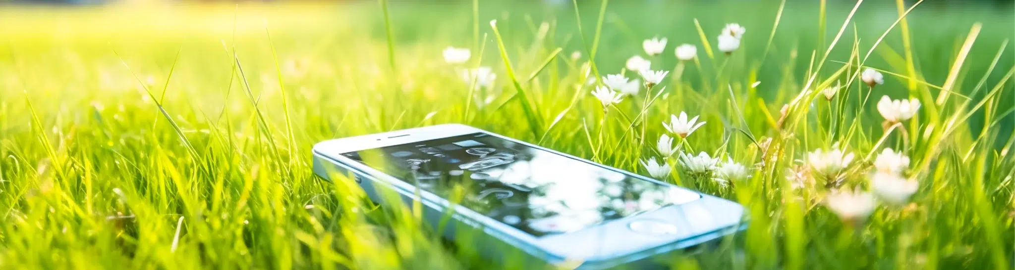 belles rives contact cazoules header